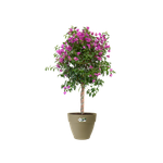 vibia campana round 35cm sage green